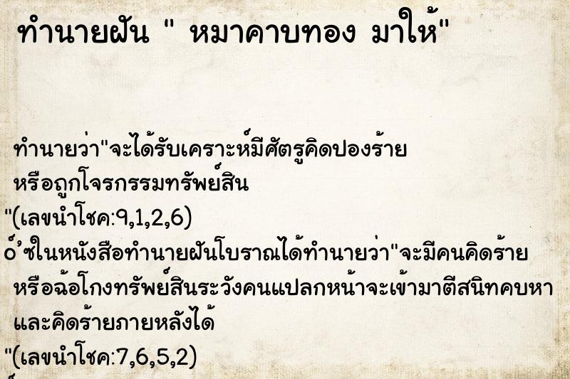 ทำนายฝันหมาคาบทองมาให้ ทำนายฝันทำนายฝันหมาคาบทองมาให้
